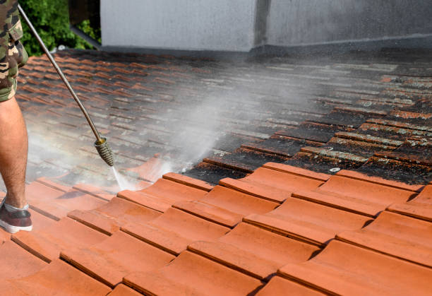 Best Roof Pressure Washing  in Canadian, TX